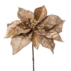 Poinsettie, 56cm, braun