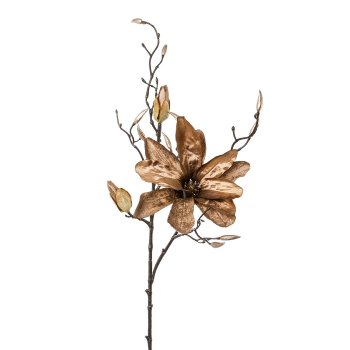 Magnolie, 86cm, braun