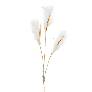 Reedgras, 99cm, creme-gold