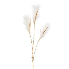 Reed grass, 99 cm, cream-gold