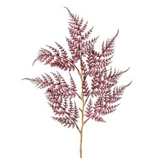 Farnzweig, 77cm, bordeaux