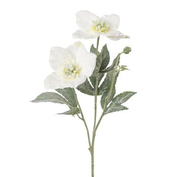 Christmas rose branch, 56cm, snow