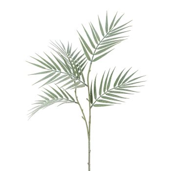 Palmblattzweig, 81cm, frost