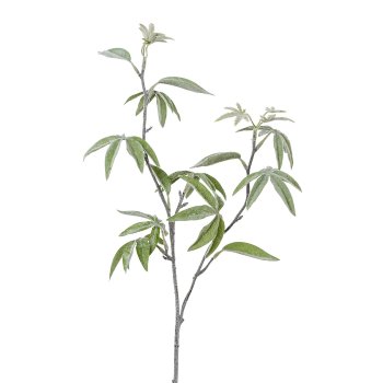 Miniaralia leaf branch, 66cm, frost