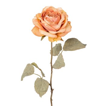 Rose, 56cm, antique pink