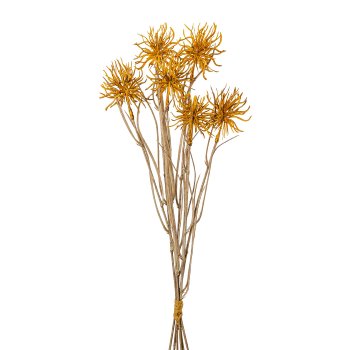 Urchin twig bunch x 6, 43cm, honey