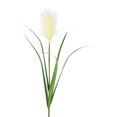 Pampas grass, 107cm, cream