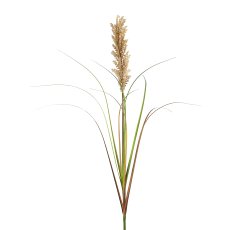 Panicle millet, 107cm, natural