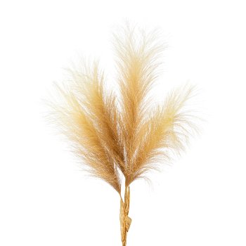 Pampas grass x4, 107cm, natural