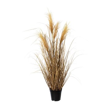 Pampas grass in pot, 92cm, natural