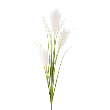 Pampas grass x 3, 142cm, cream