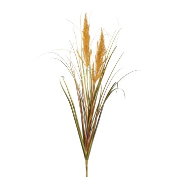 Pampas grass, 105cm, natural