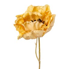 Poppy, 51cm, yellow