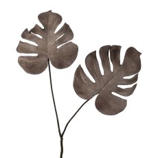 Split Philo leaf x 2, 52 cm,