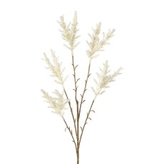 Miscanthus branch x 5, 68cm, white