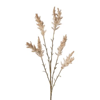 Miscanthuszweig x 5, 68cm, grau