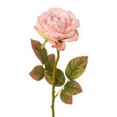 Rose, 57cm, rosa