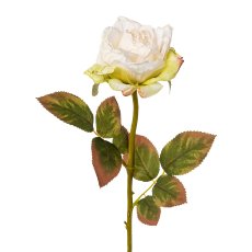 Rose, 57cm, weiß