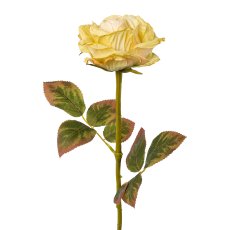 Rose, 57cm, grün-creme