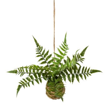 Ribbed fern in hanging bale, 26x11cm, green