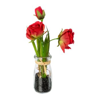 Roses in glass vase, 21cm, red