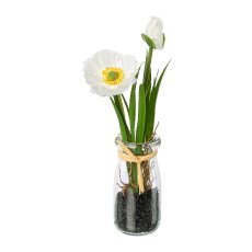 Poppy in glass vase, 21cm, white