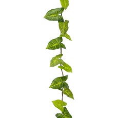 Syngonium garland, 185cm, green