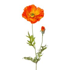 Poppy, 58cm, orange