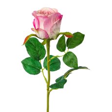 Rose, 51cm, pale pink