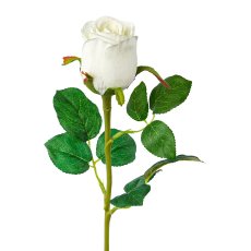 Rose, 51cm, white