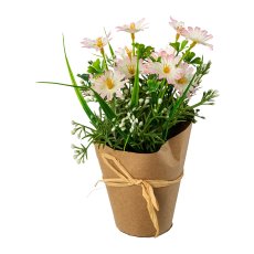 Marguerite mix in Packing paper pot, 21x11cm, pink