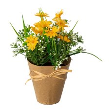Marguerite mix in packing paper pot, 21x11cm, yellow