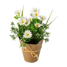 Marguerite mix in Packing paper pot 21x11cm, white