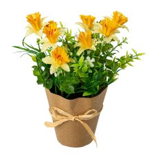 Mix of daffodils in packing paper pot, yellow
