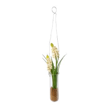 Muscari in hanging vase, cream 35x4cm