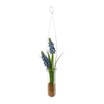 Muscari in Hängevase, blau, blau 35x4cm