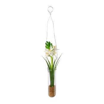 Hyacinth in hanging vase, cream, 35x4cm