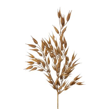 Oats, 63cm, brown