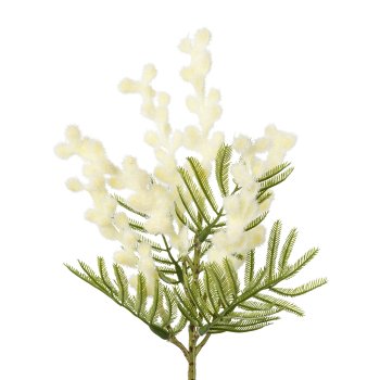 Mimosa branch, 39cm, white