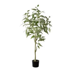 Eucalypthus tree, potted, 120