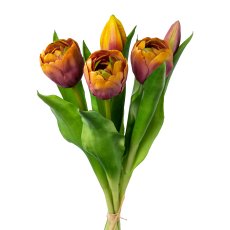 Tulpenbund x 5, 32cm, mauve-gelb