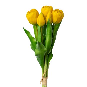 Tulip waistband x 5, 32cm, yellow