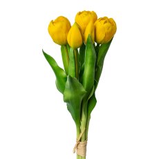 Tulpenbund x 5, 32cm, gelb