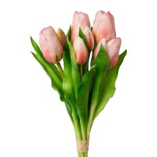 Tulpenbund x 7, 32cm, rosa