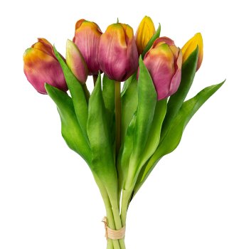 Tulpenbund x 7, 32cm, mauve-gelb