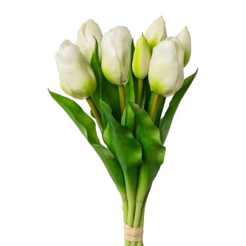 Tulpenbund x 7, 32cm, weiß