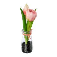 Tulpen in Glasvase, 21 cm,
