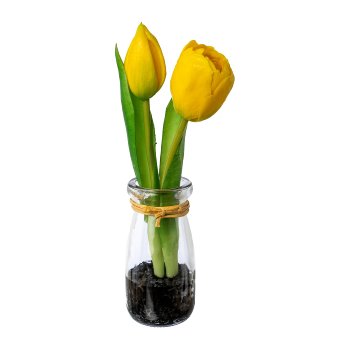 Tulips in glass vase, 21cm, yellow