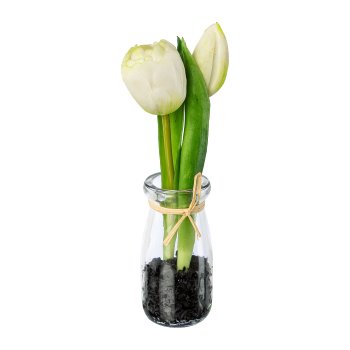 Tulips in glass vase, 21cm, white