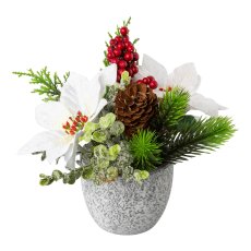 Poinsettia mix in cement pot, 19cm, white,